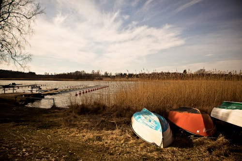 Základová fotografie zdarma na téma čluny, cukrová hůlka, jezero