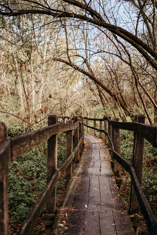 Free Serene wooden footbridge amidst trees in a Hungarian forest during fall. Stock Photo