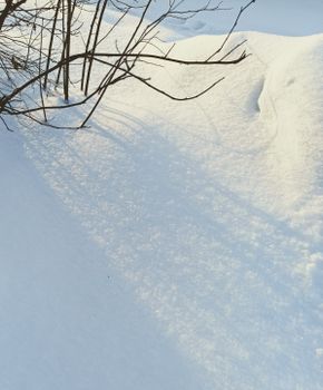 Snow-covered branches casting shadows on a sunny winter day in Russia.