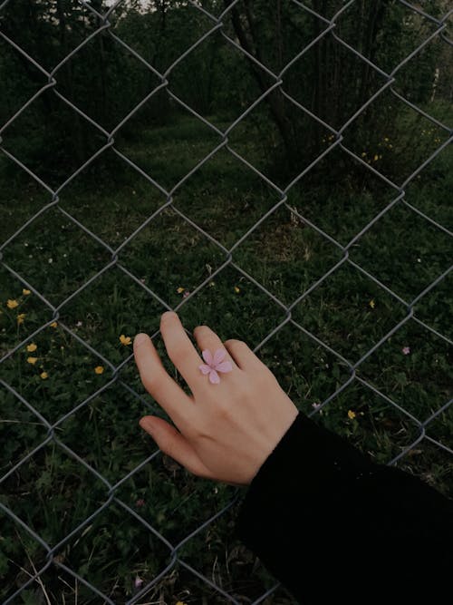 Free Person in Black Long Sleeve Shirt Holding Black Metal Fence Stock Photo