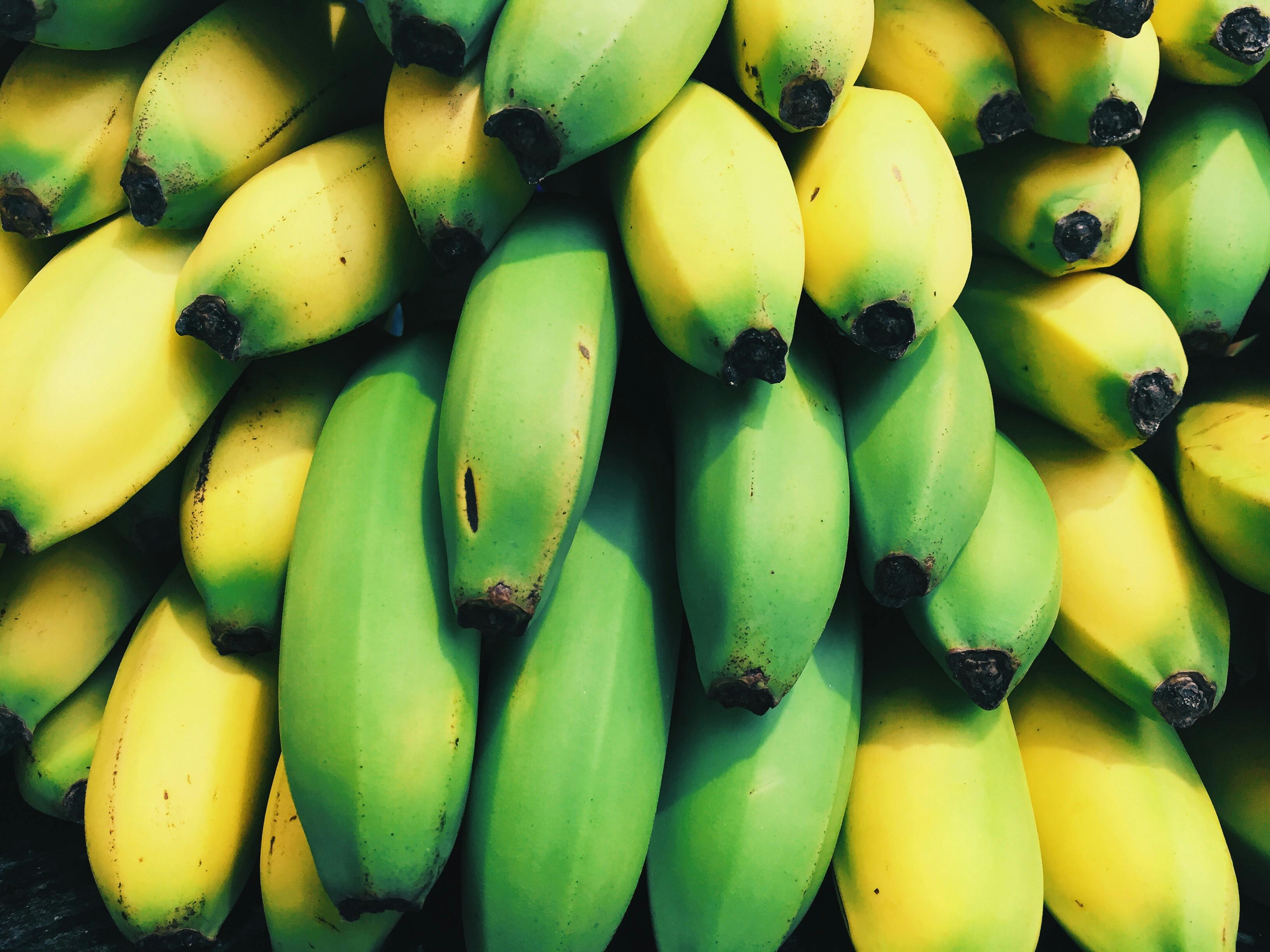 Kostenloses foto zum thema bananen essen fr chte