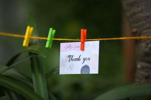 Free Thank You Card Hanging on Clothes Line Stock Photo