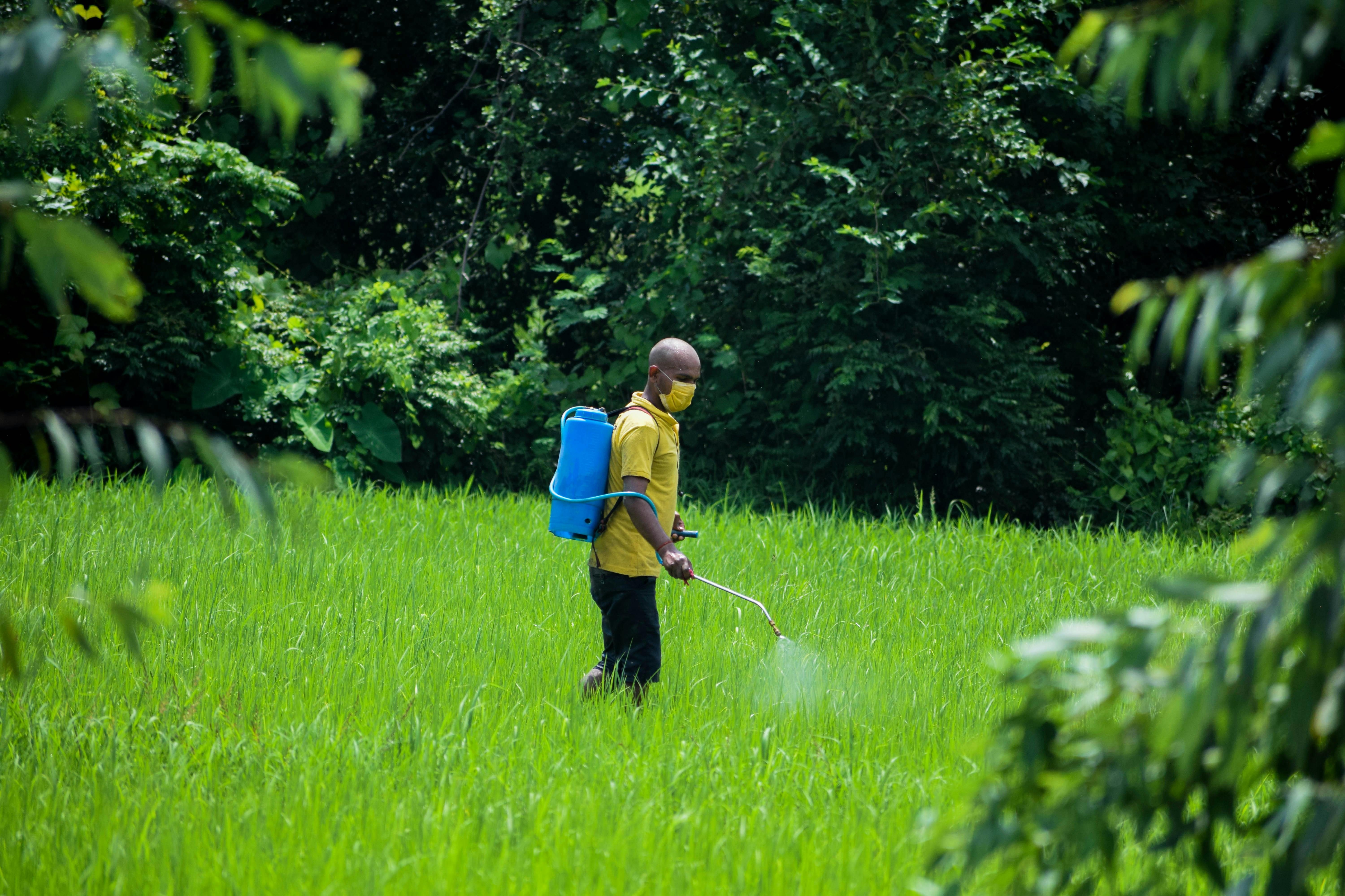 The Consequences of Pesticide Use on Non-Target Species thumbnail