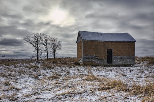 Foto profissional grátis de abandonado, árvores nuas, casa de tijolos