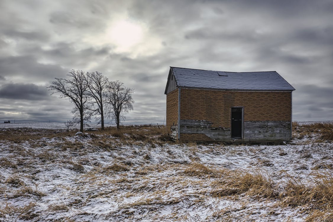 Foto profissional grátis de abandonado, árvores nuas, casa de tijolos