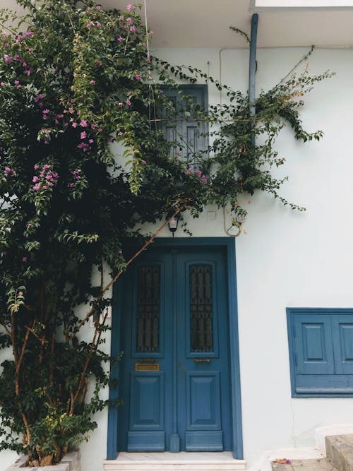 Blue Wooden Door 