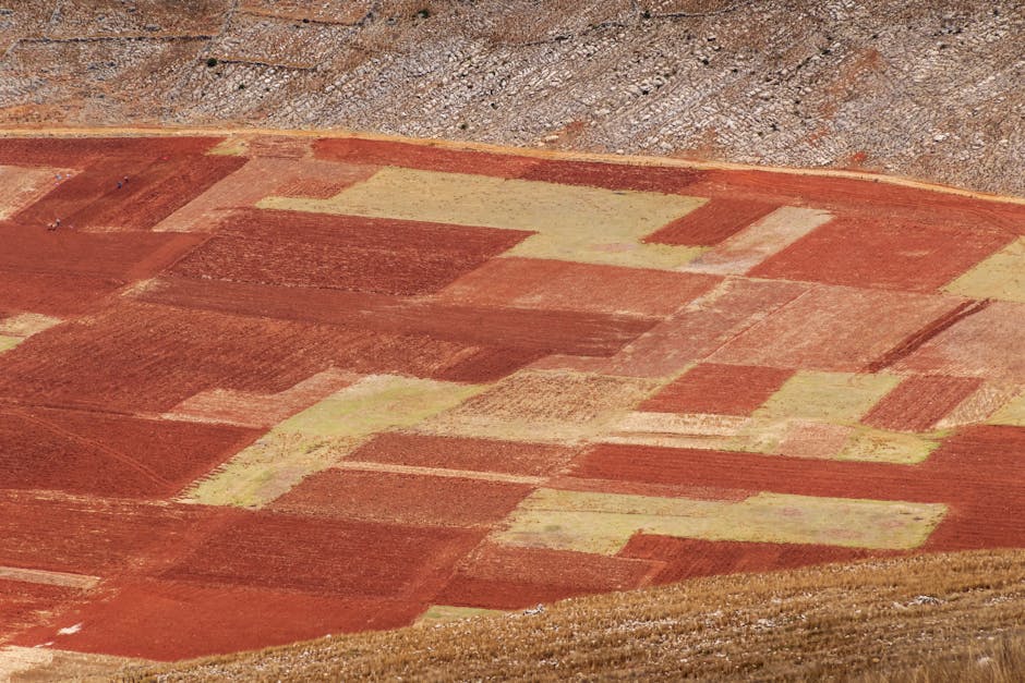 Aerial view showcasing vibrant patchwork farmland patterns in JunĂn, PerĂş.