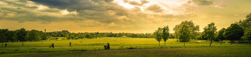 Free Green Grass Field during Sunset Stock Photo