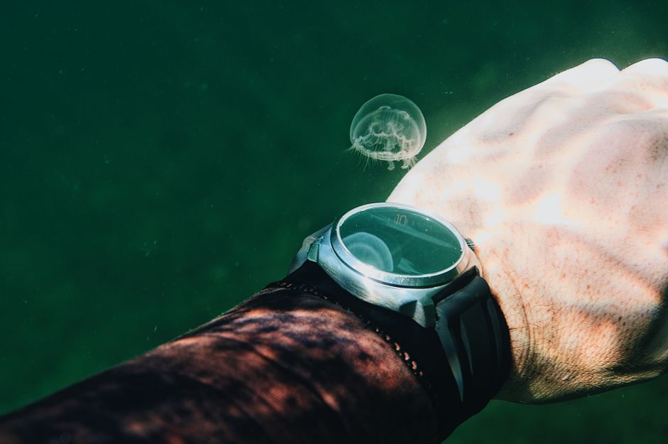 When to Go: The Best Time for Underwater Adventures When to Go: The Best Time for Underwater Adventures