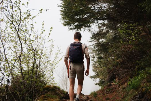 A man with a backpack hiking along a forest path, surrounded by lush greenery.