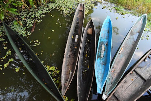 Foto profissional grátis de barcos, embarcação, lago