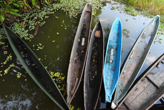 Night canoeing for caimans — Amazon — Brazil