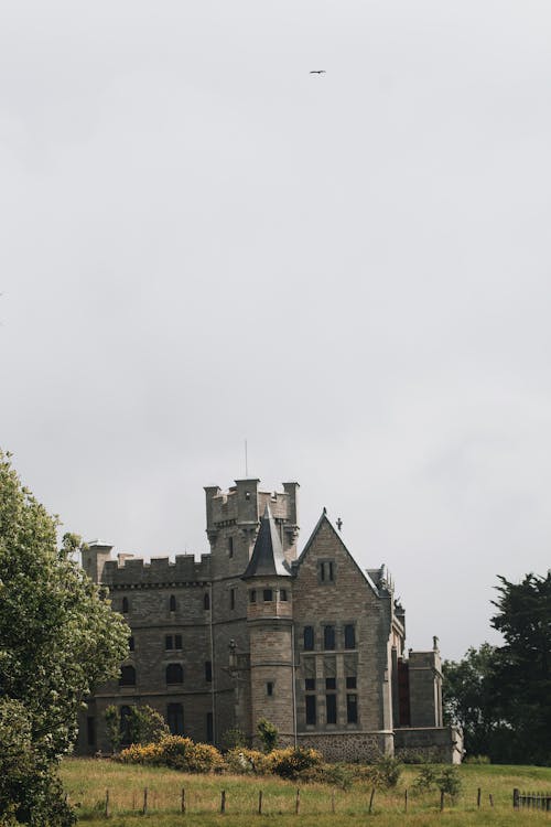 Fotobanka s bezplatnými fotkami na tému architektúra, budova, château d abbadia