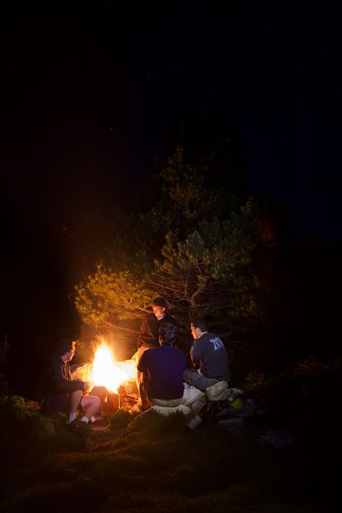 Free A group of friends gathered around a campfire in a forest setting, illuminated by the fire's warm glow during nighttime. Stock Photo