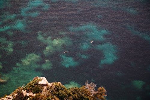 Aerial Shot of People Swimming in the Ocean 