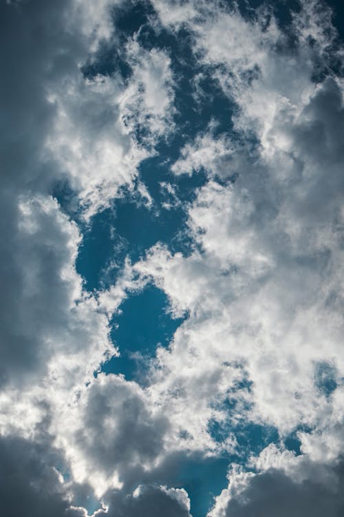 Fotobanka s bezplatnými fotkami na tému biele-oblaky, modrá obloha, podhľad