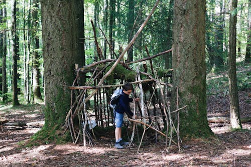 A Boy Building a Shelter in the Forest