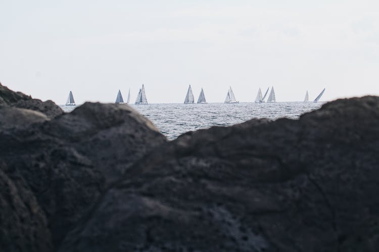 Sailboats Racing On The Sea