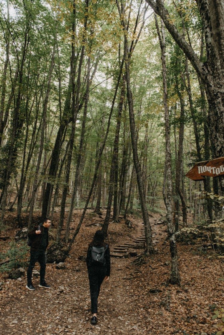 Man And Woman Hiking In Forest