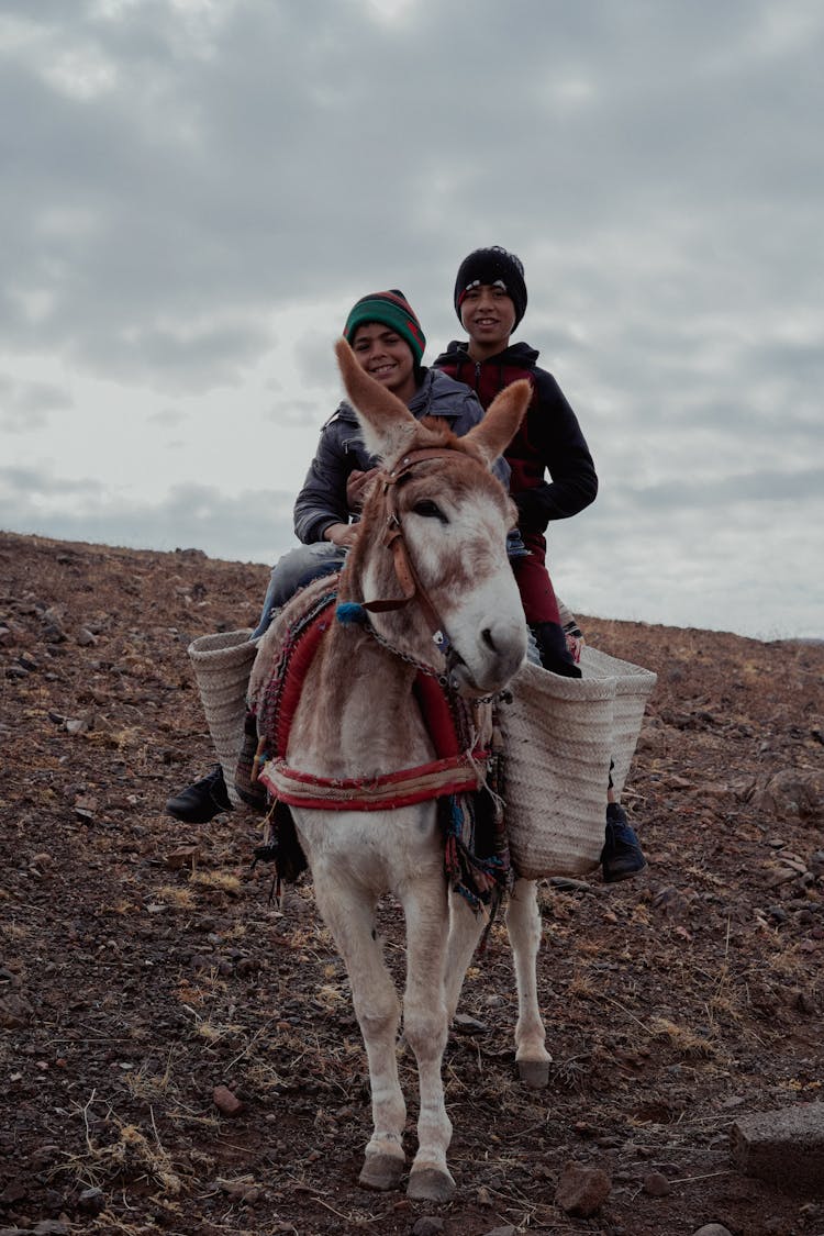 Children Riding A Donkey 