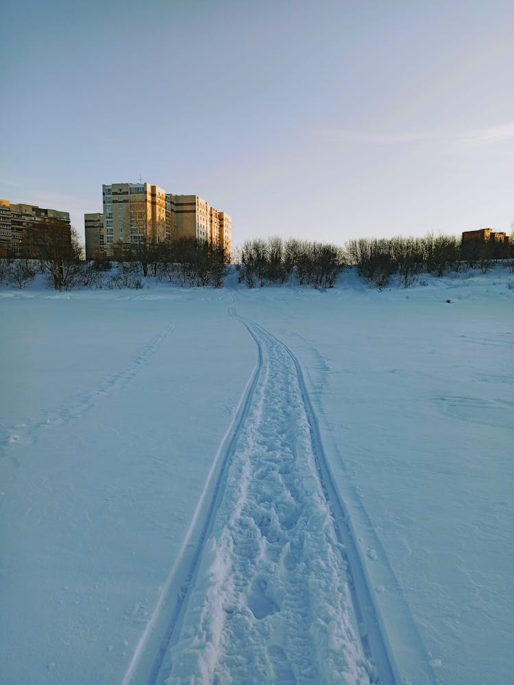 Traces In Snow