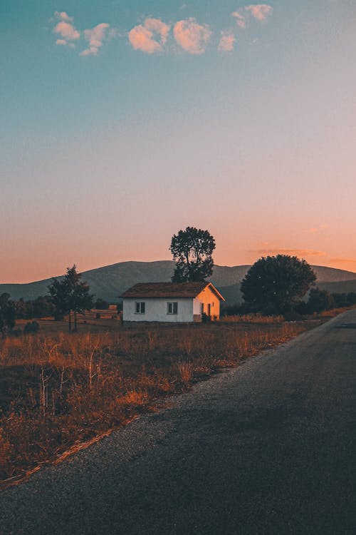 Imagine de stoc gratuită din apus, arbori, cămin