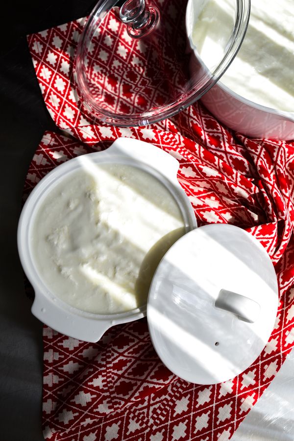 Turkish yogurt in white dishes