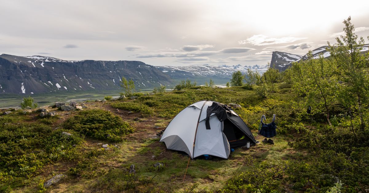 Explore serene camping amidst stunning Swedish mountains and lush wilderness.