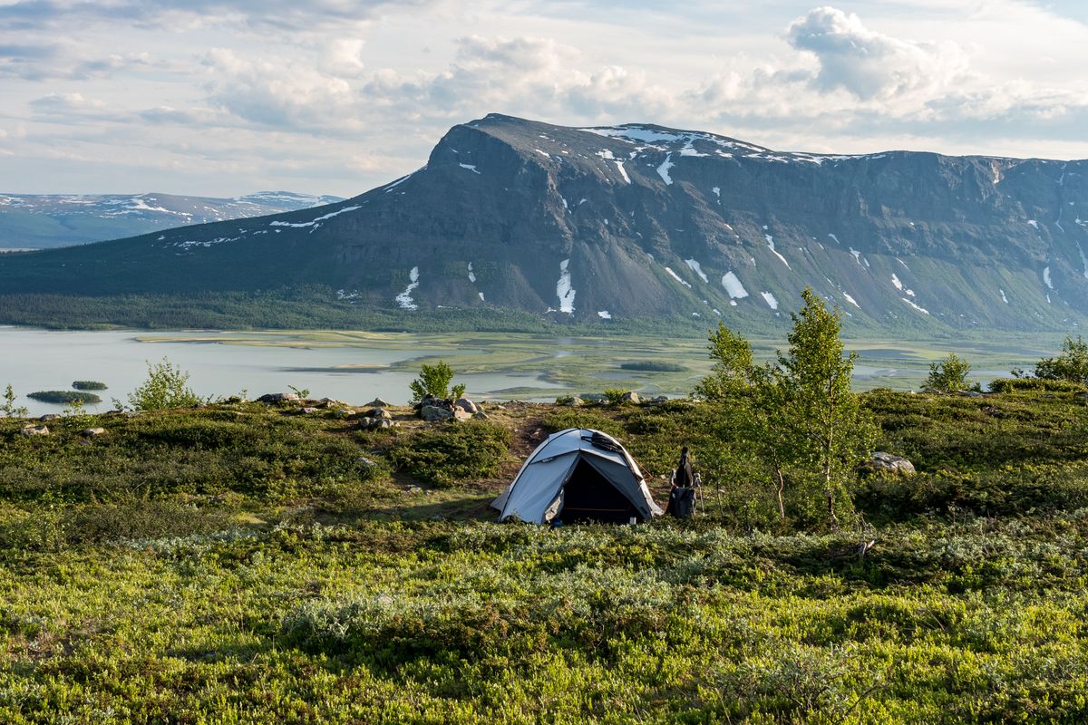 Sarek