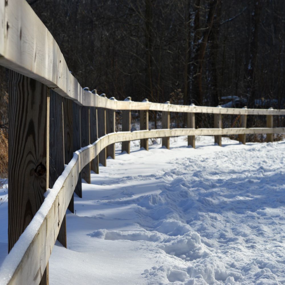 Fence and Decking Painting in Hampton Hill — surfaces prepped and cut in by hand
