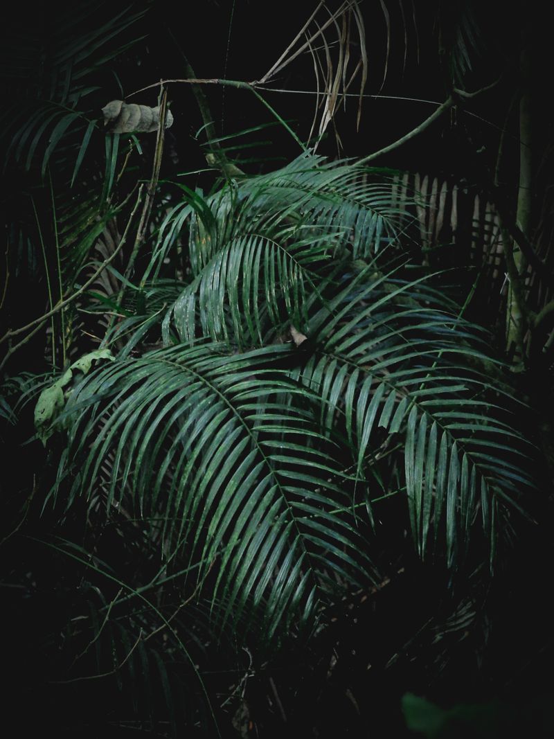 camping outdoor survival camp Indonesia leave no trace