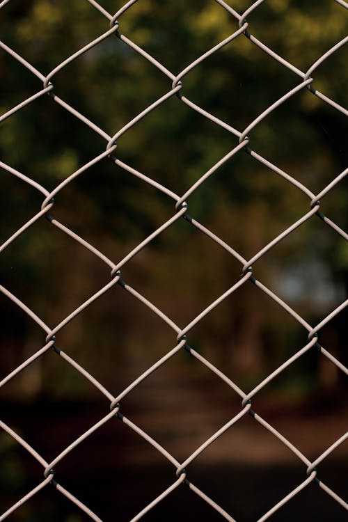 Free Grey Metal Chain Link Fence Stock Photo