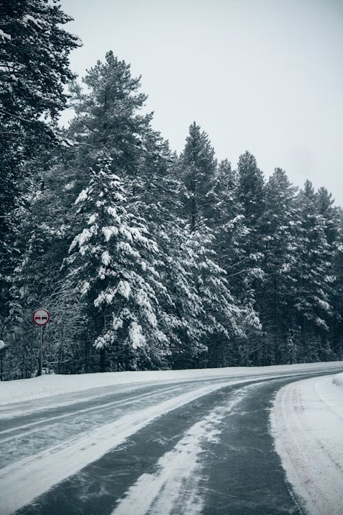 下雪的, 冬季, 垂直拍摄 的 免费素材图片