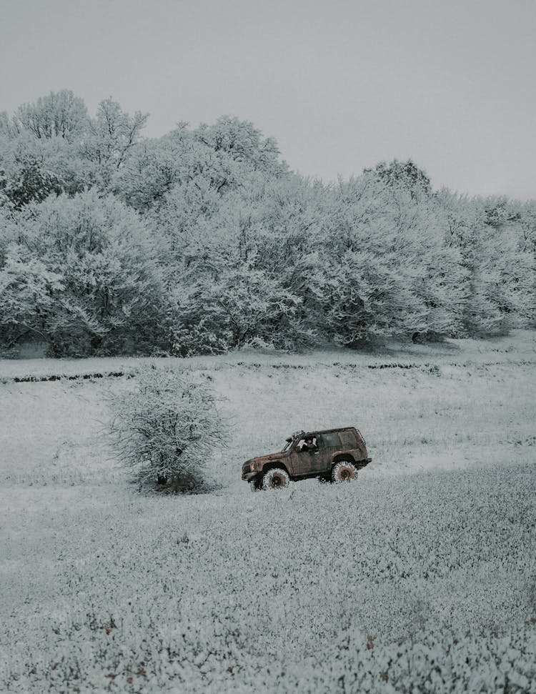 Jeep In Snow Near Trees