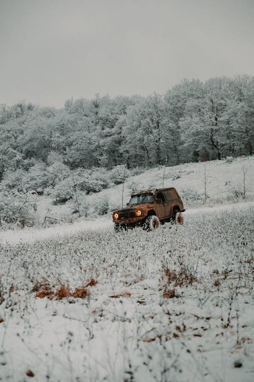 Kostnadsfri bild av bil, kalender, kall - temperatur