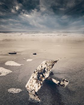 Dramatic stormy beach scene in Rosscarbery, Ireland, showcasing ocean debris and dark clouds.
