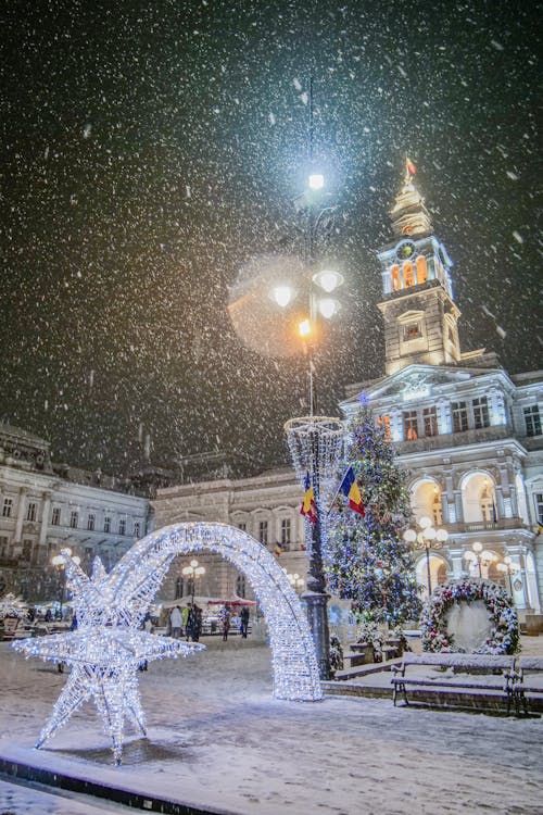 Photos gratuites de arad, arbre de noël, chute de neige