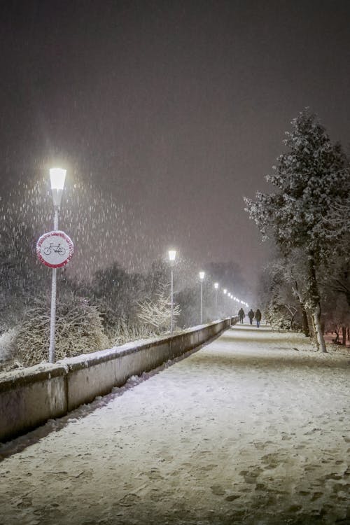 人行道, 冬季, 垂直拍攝 的 免費圖庫相片