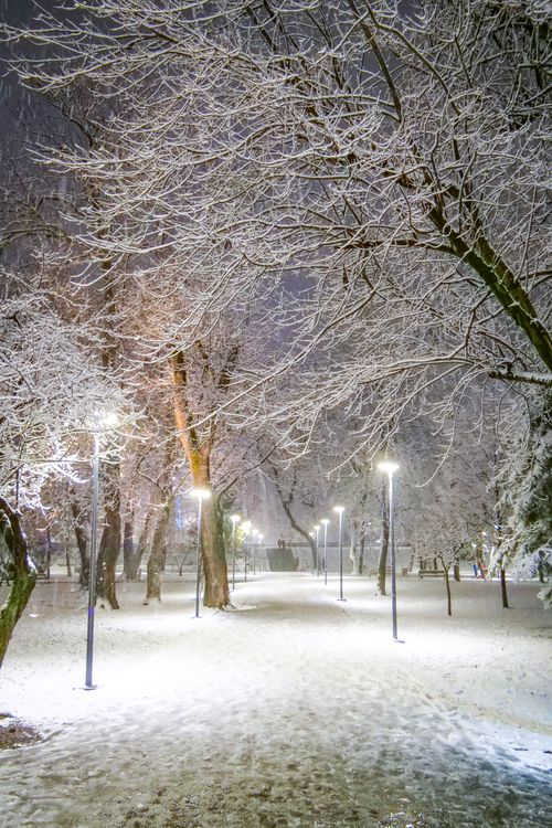 Free A serene winter night in Arad, Romania, featuring snow-covered trees and illuminated lamp posts. Stock Photo