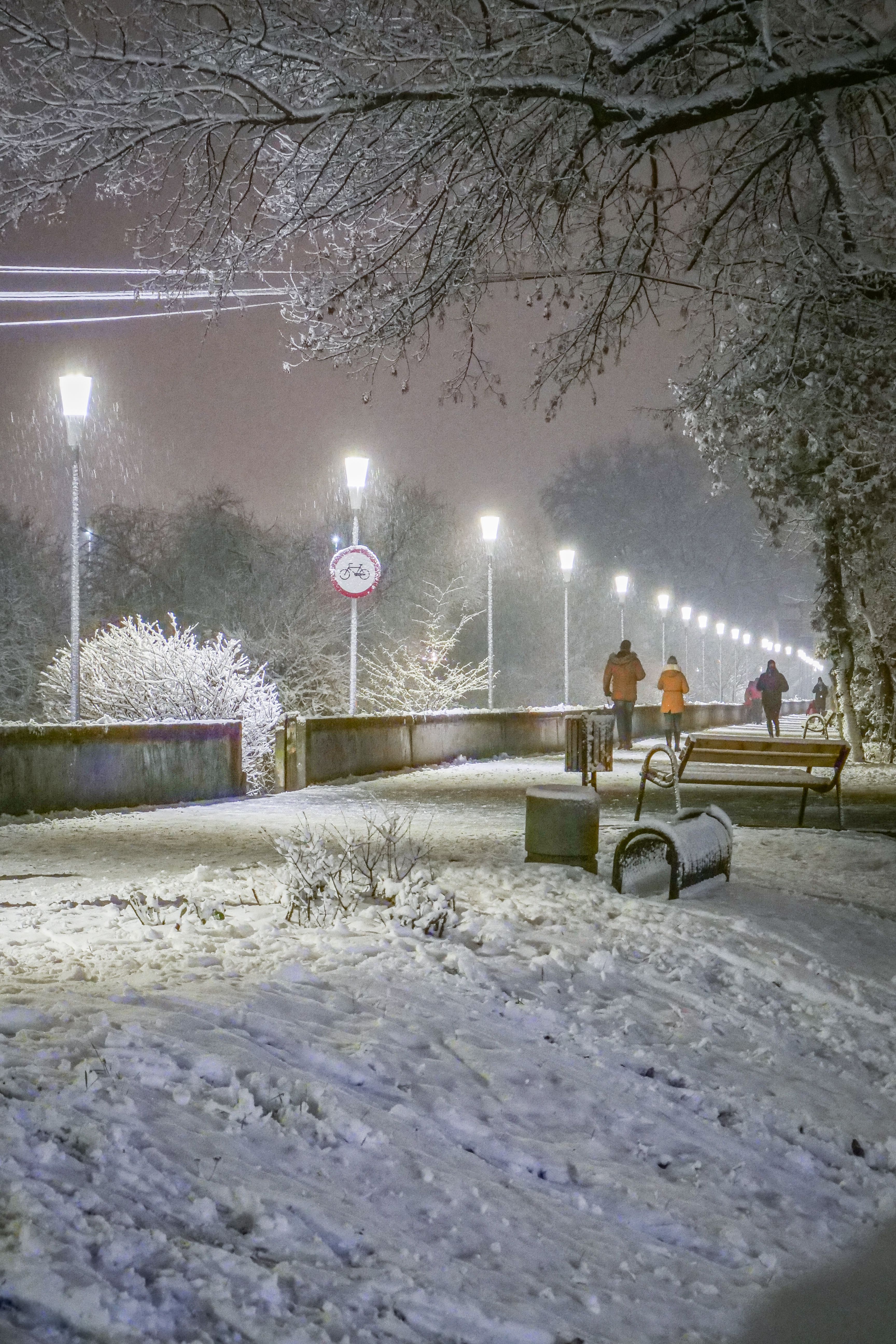 People Walking in Park in Winter at Night · Free Stock Photo