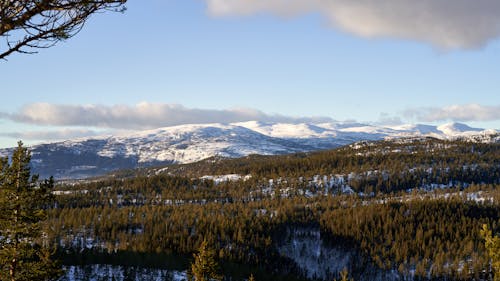 丘, 冬, 山岳の無料の写真素材
