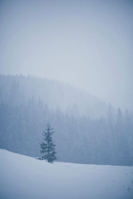 A serene winter scene of snow-covered mountains and fog in Vysoké Tatry, Slovakia.