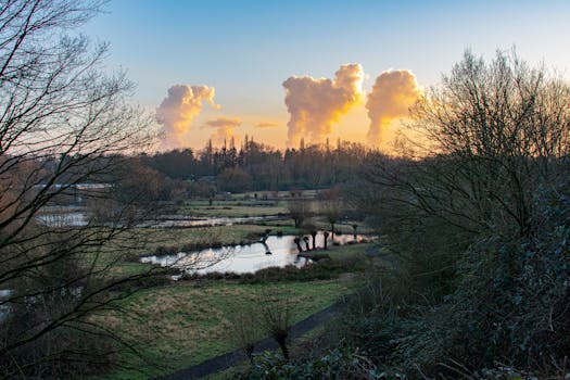 Peaceful park scene with vibrant clouds and bare trees at sunset.