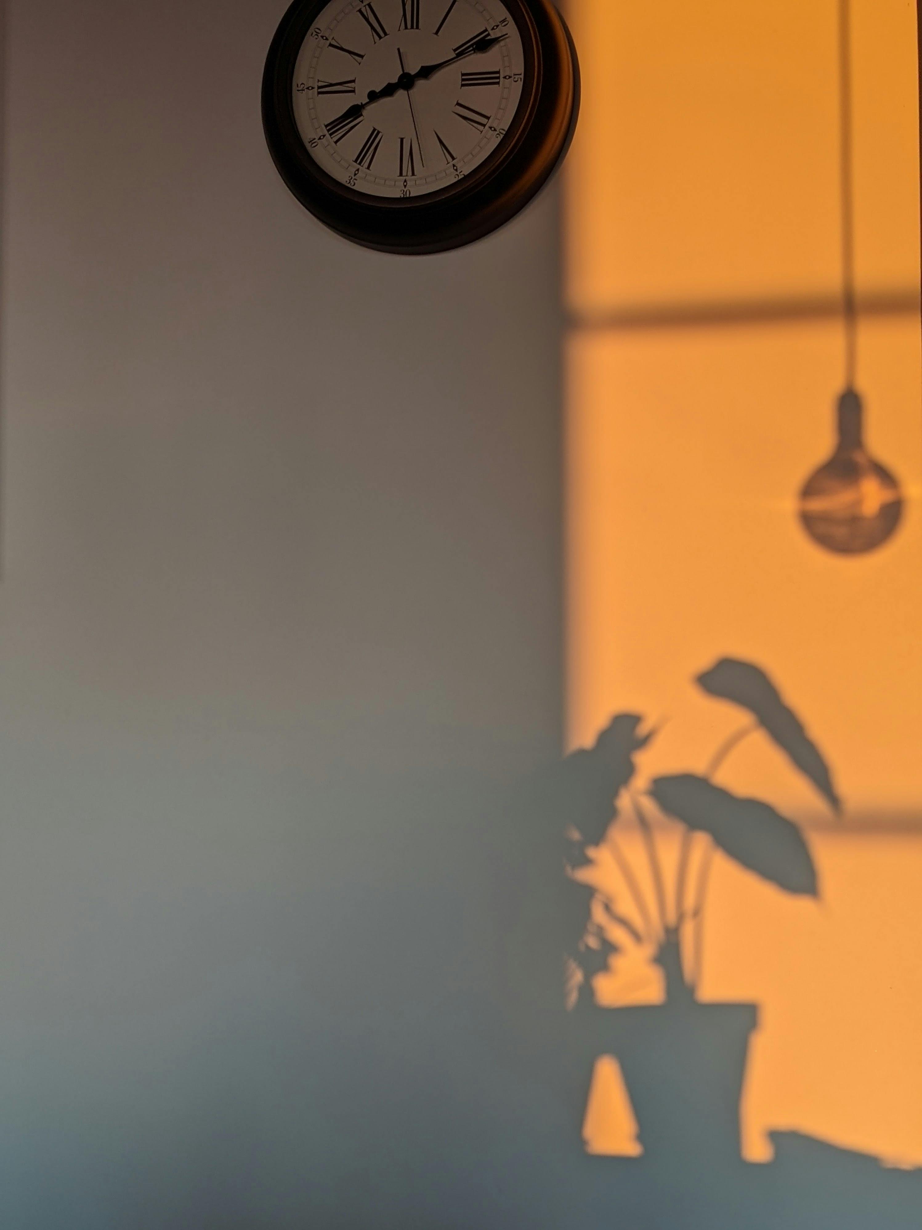 A wall clock with plant shadow cast in warm light, creating a minimalist ambiance.