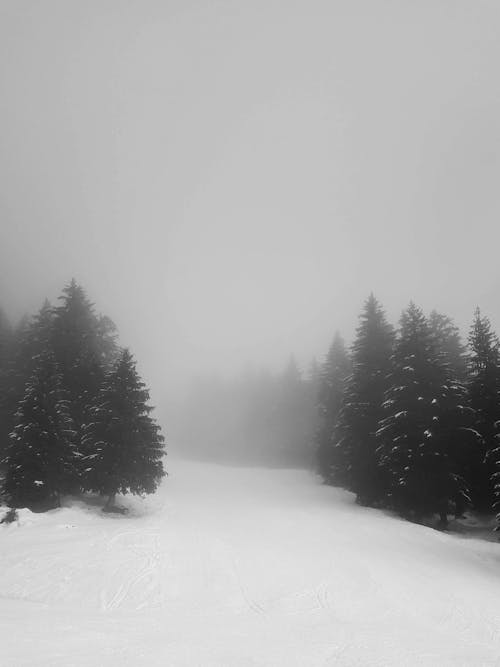 Fotobanka s bezplatnými fotkami na tému Alpy, chladný, hmla