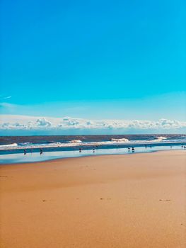 A peaceful beach scene showcasing seagulls on the shore under a vibrant blue sky.