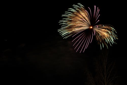 Imagine de stoc gratuită din focuri de artificii