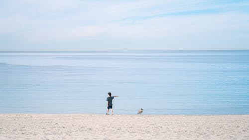 Photos gratuites de bord de mer, ciel bleu clair, enfant