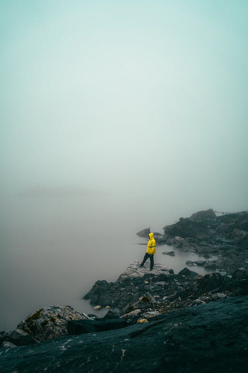 Man on a Rocky Shore Covered with Fog 