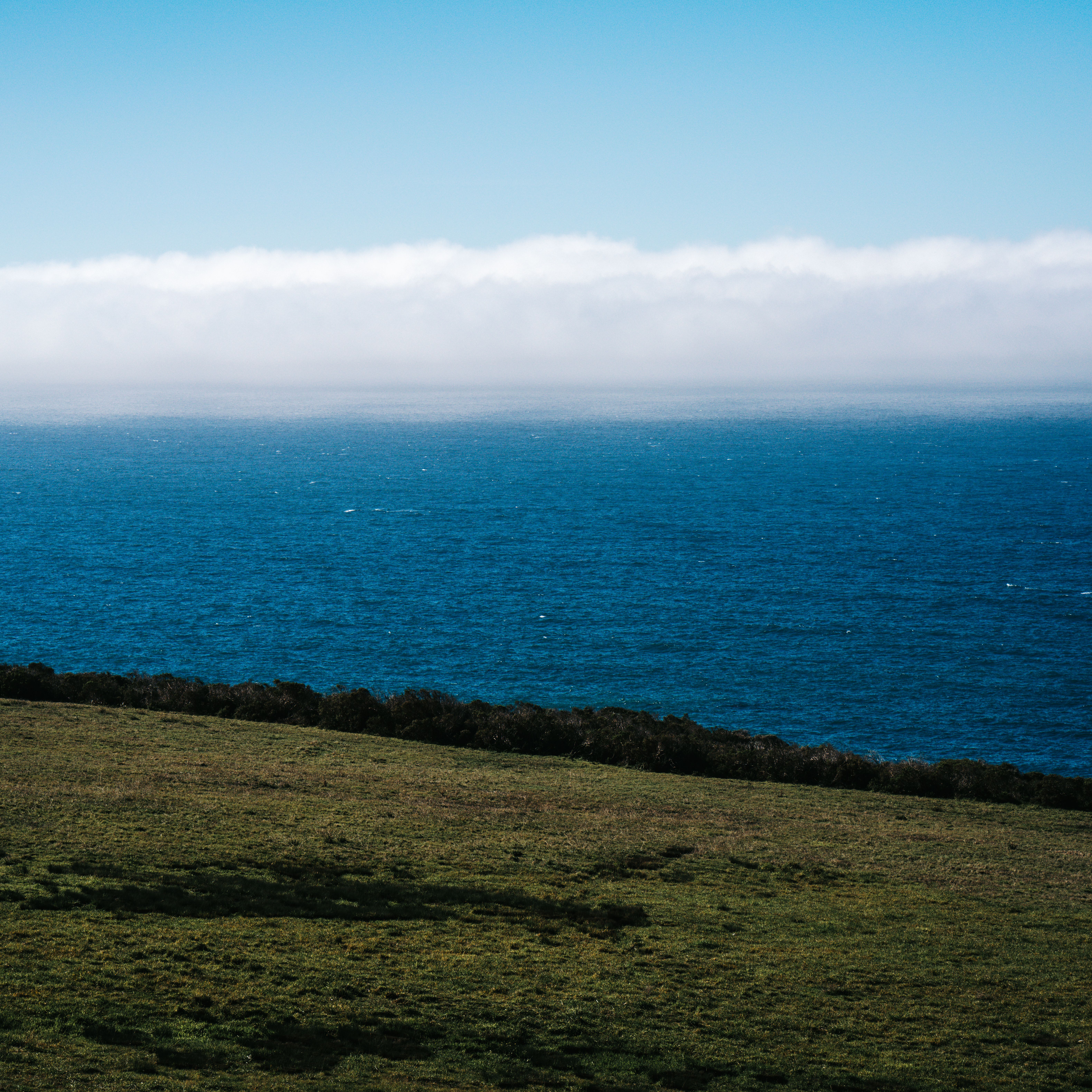 Beautiful coastal landscape at Carmel-by-the-Sea with a clear blue ocean and green grass field.